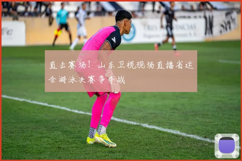 直击赛场！山东卫视现场直播省运会游泳决赛争夺战