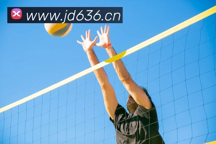 拼搏体育品牌故事