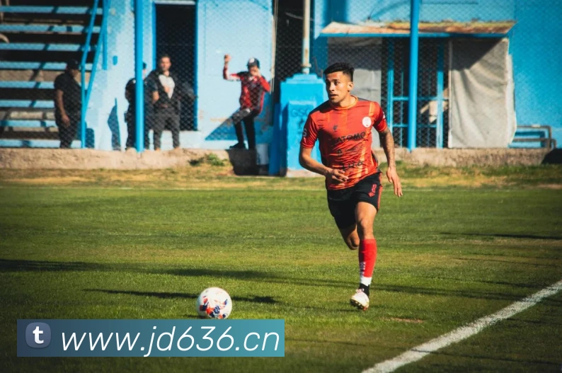 拼搏体育服务体系